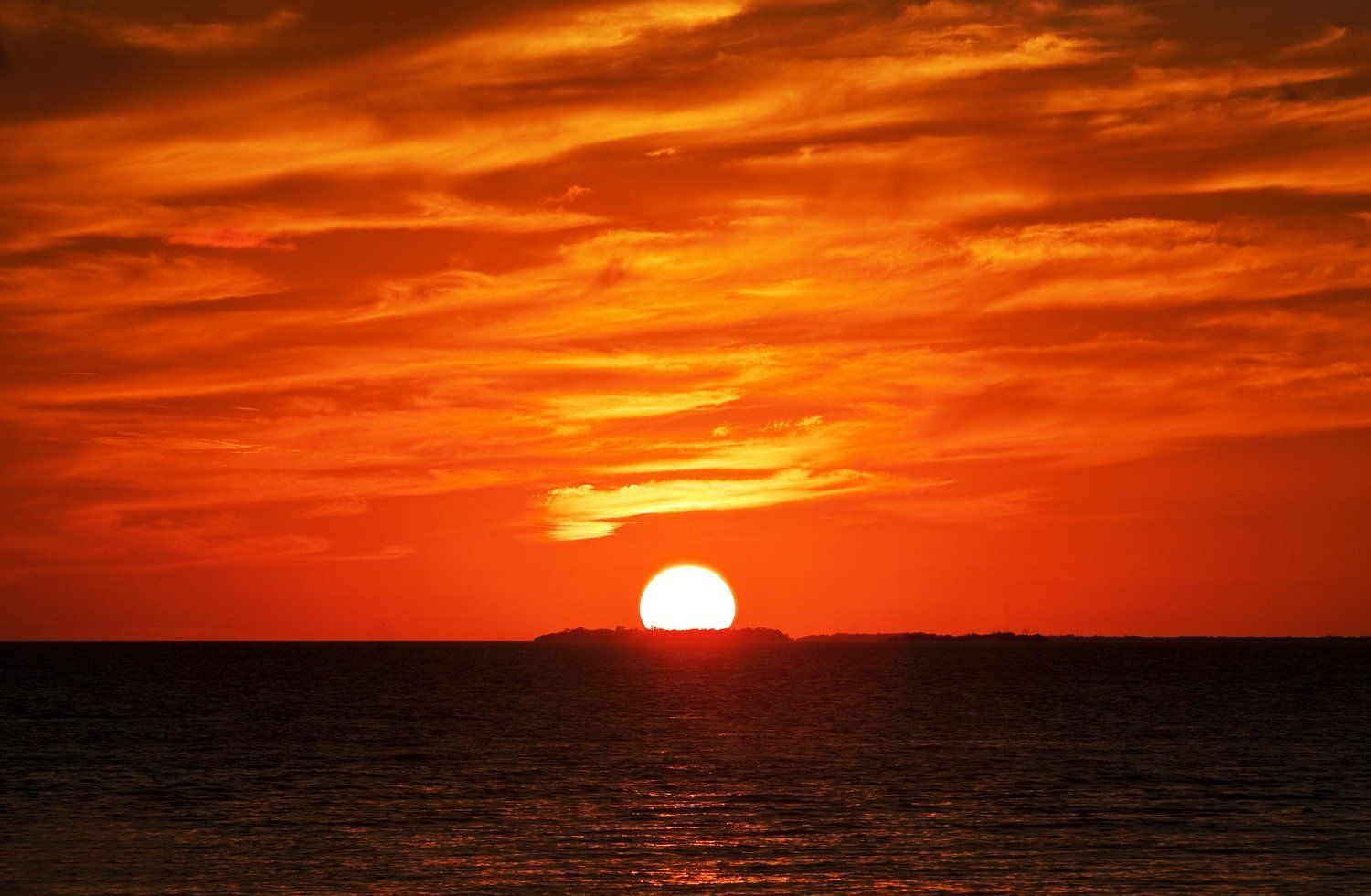 Sunset Key Cottages 키웨스트 시설 사진